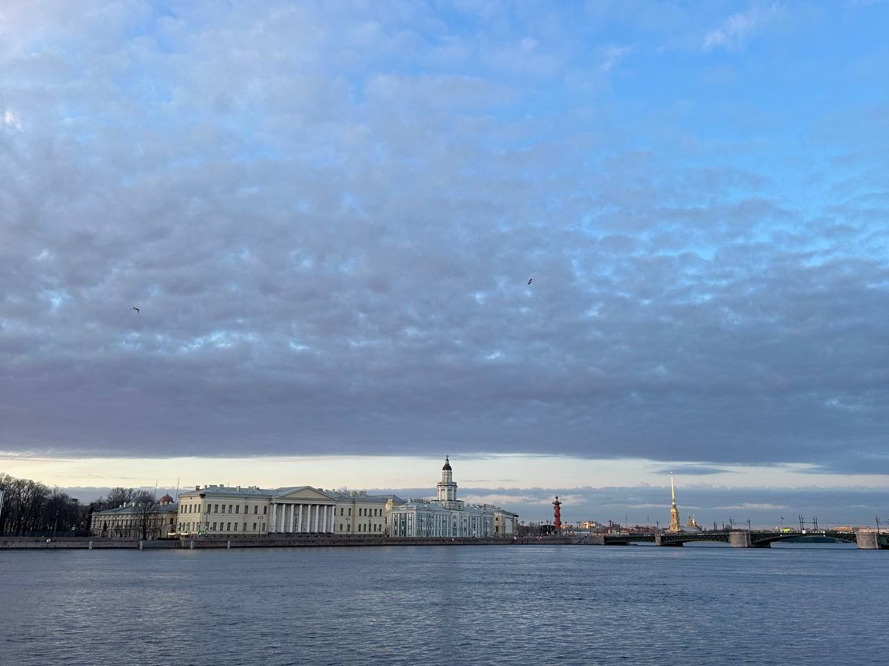 Облака, небольшой дождь и тепло: какая погода ждет петербуржцев 17 мая