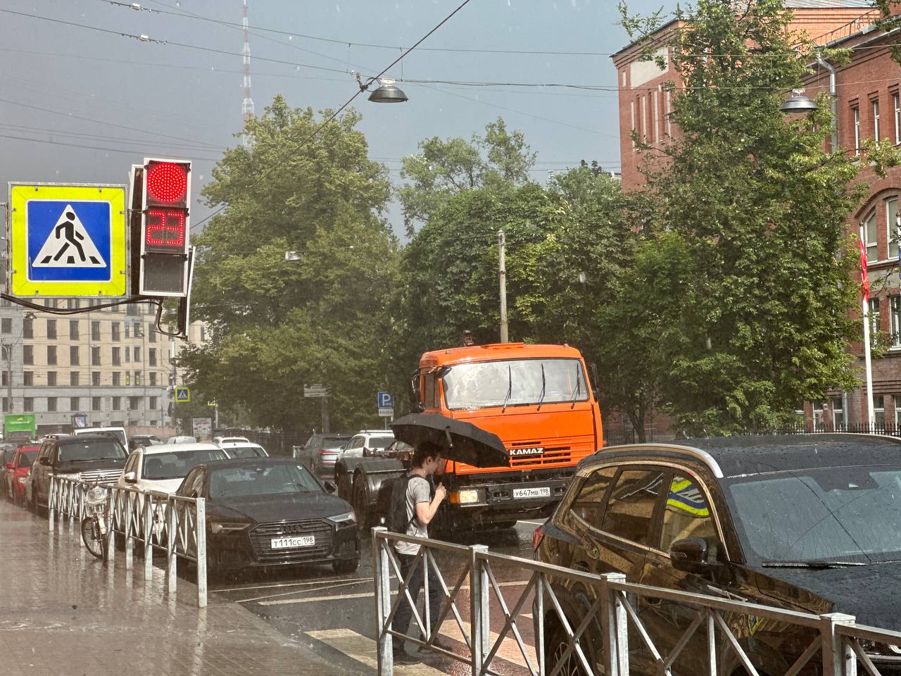 Дожди и облачность доберутся до Петербурга из-за циклона 17 августа
