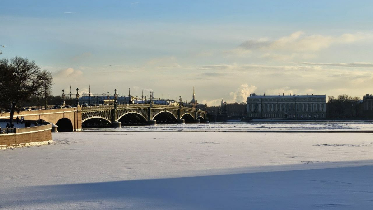 Синоптик Леус: В Петербурге прошел первый снег утром 14 ноября