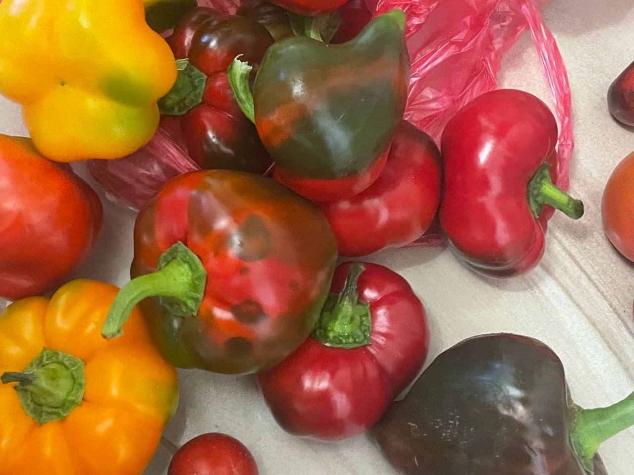 Перец «отличился» среди овощей и подорожал на 20% в Петербурге осенью