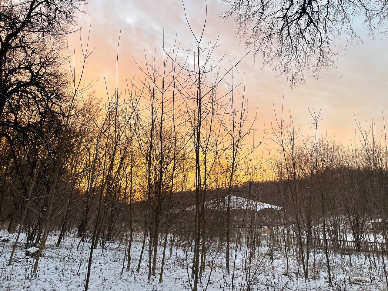 Мокрый снег придет в Петербург сегодня: прогноз погоды на 10 ноября