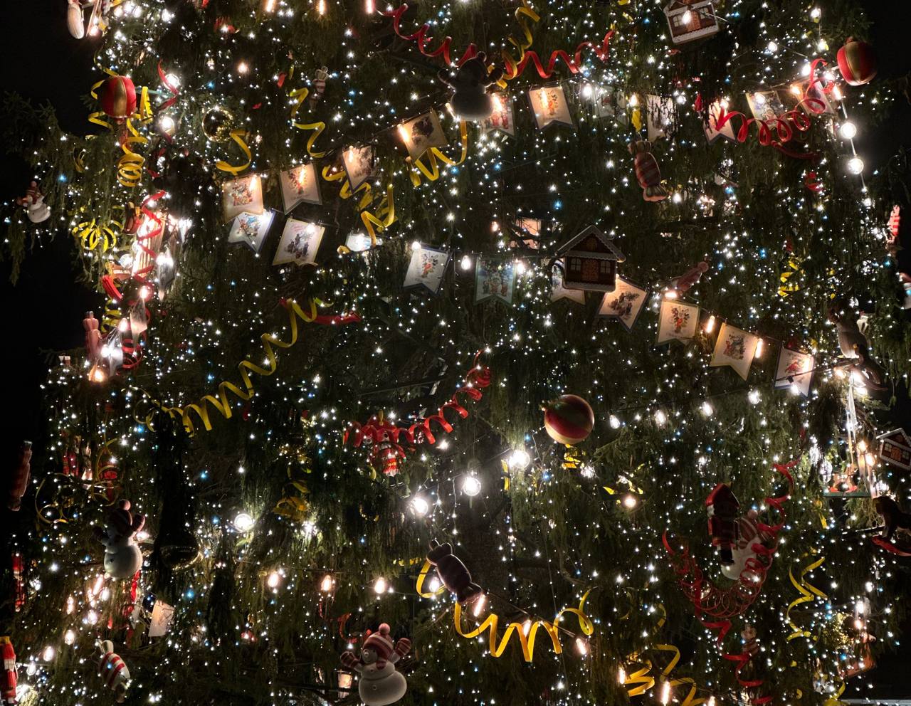 Запуск салютов в Петербурге грозит огромным штрафом: сколько денег придется за нарушения