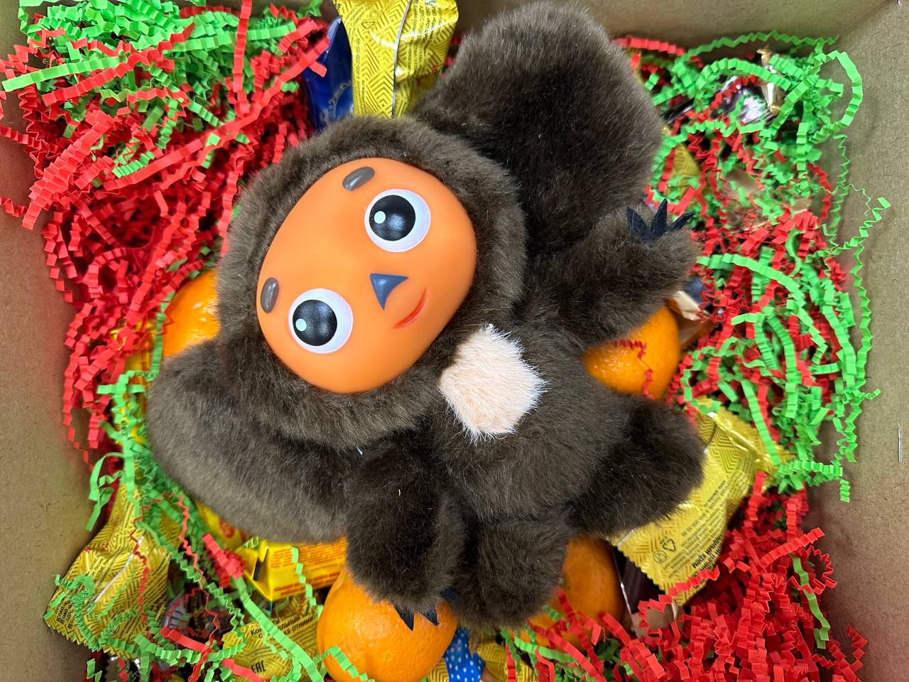 Петербурженку оштрафовали на 113 тысяч за продажу поддельного Чебурашки