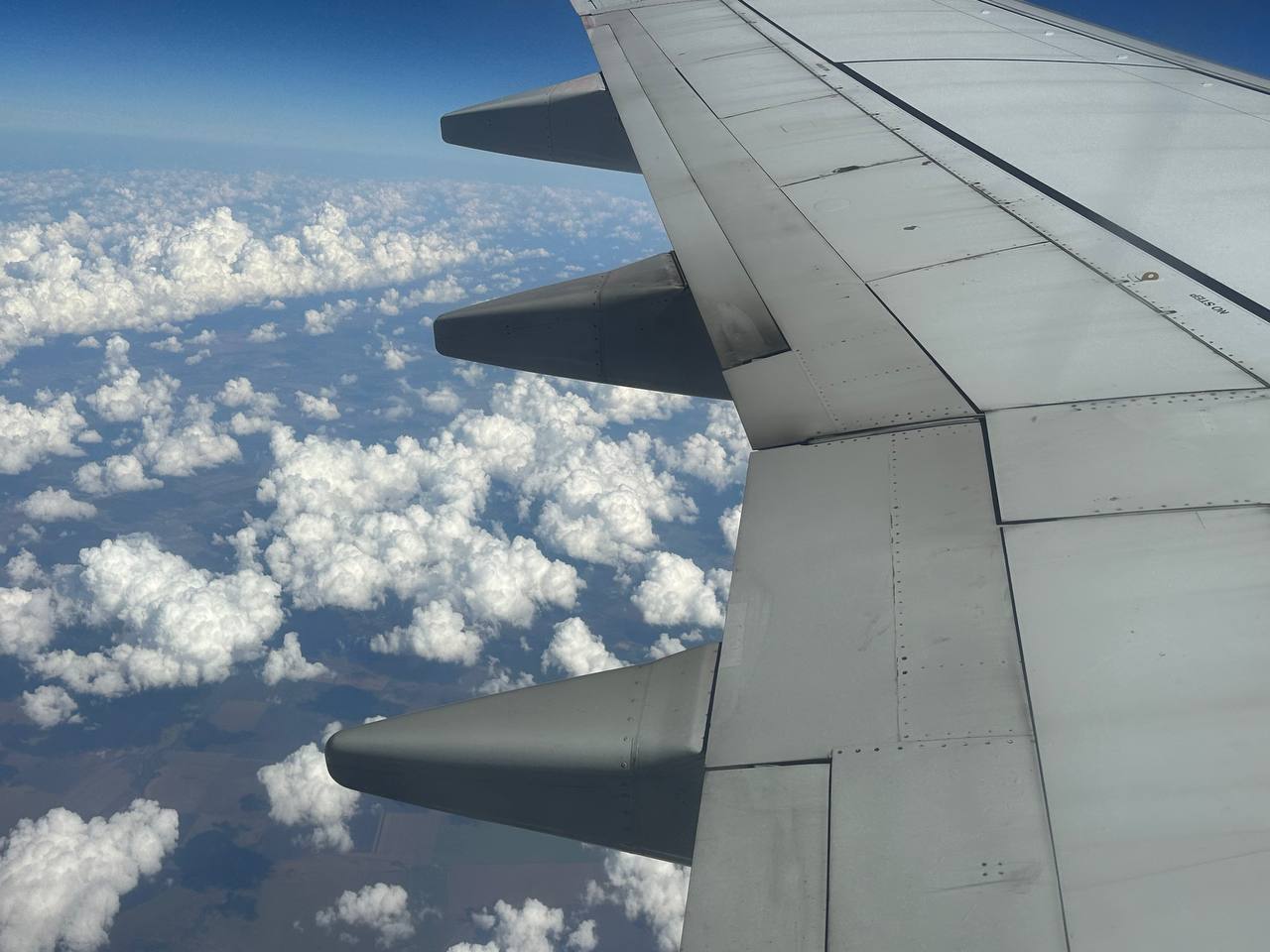 Петербуржцам напомнили о праве на гостиницу и питание при задержке авиарейса