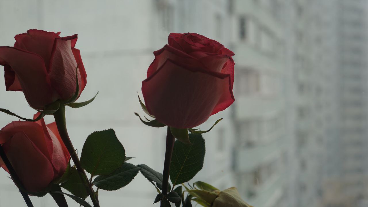 Спасатель и диспетчер МЧС Петербурга рассказали, какого встречаться на службе