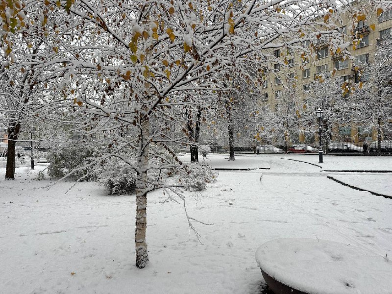 В Петербурге 12 февраля похолодает и пойдет снег
