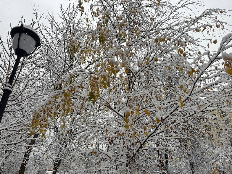 В Петербурге 19 февраля похолодает и пойдет снег