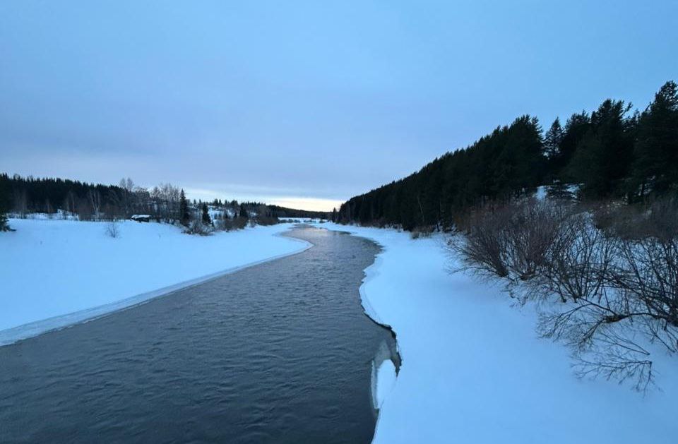 Баскетболист «Зенита» Рэндольф испытал культурный шок из-за гуляющих по льду реки петербуржцев