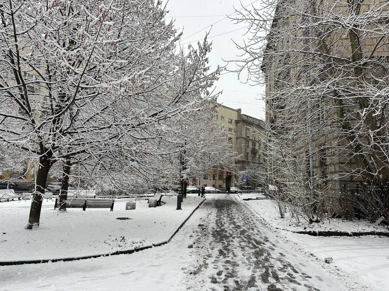 Сильный снегопад пройдет в Петербурге в День всех влюбленных