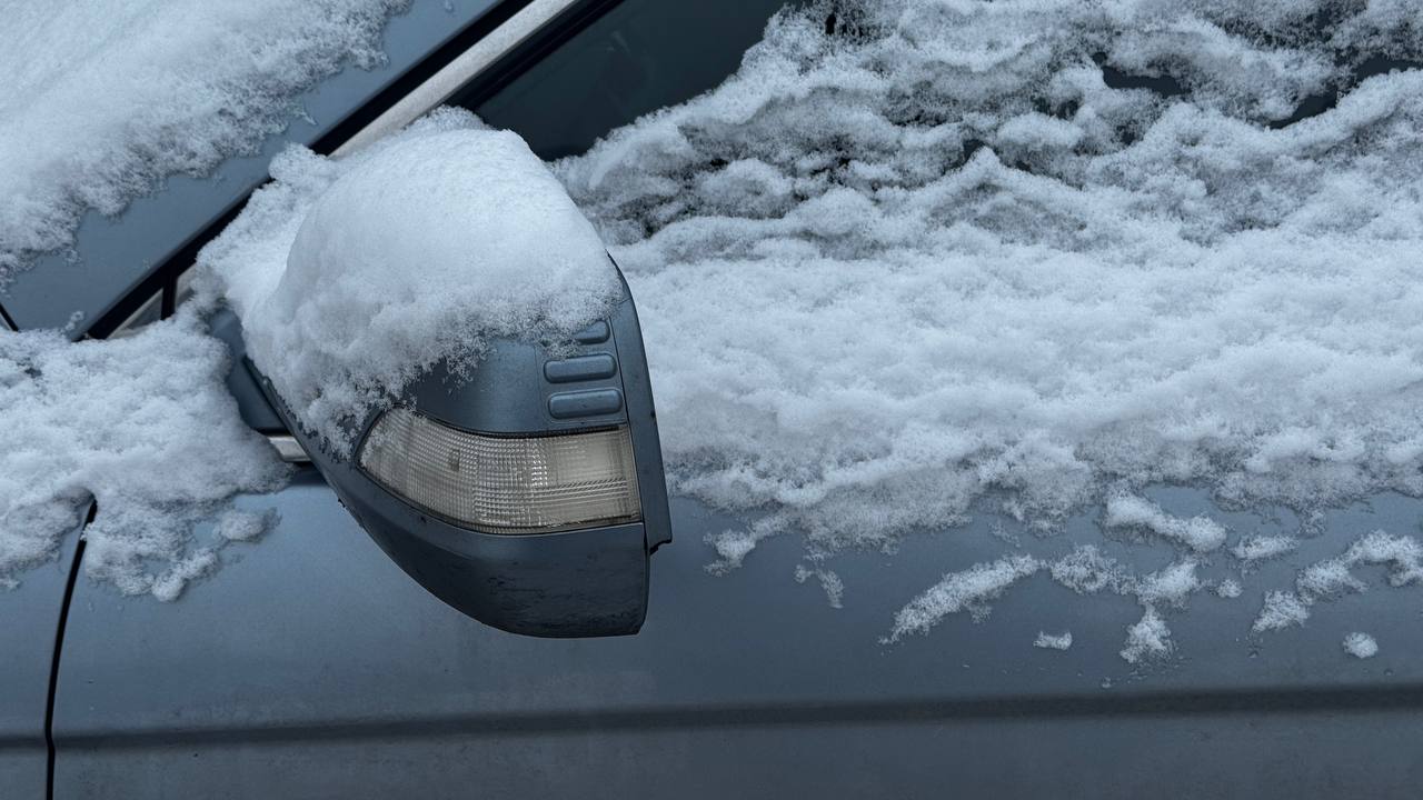 Авито Услуги: из-за снегопадов вырос спрос на эвакуацию авто в Ленобласти и Петербурге