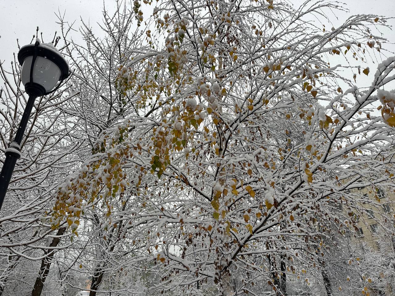 Последний рабочий день февраля станет самым теплым в Петербурге