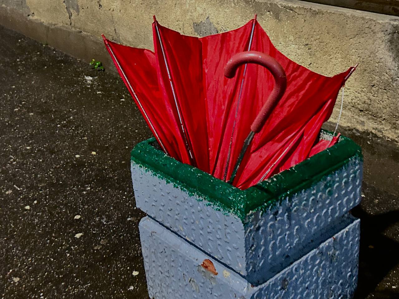 Небольшие дожди в Петербурге не пустят тепло в город 3 апреля