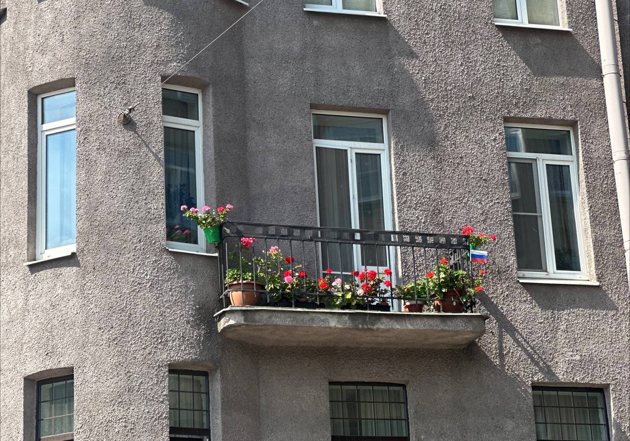 Март 2026-го в Петербурге стал самым теплым за всю историю метеонаблюдений