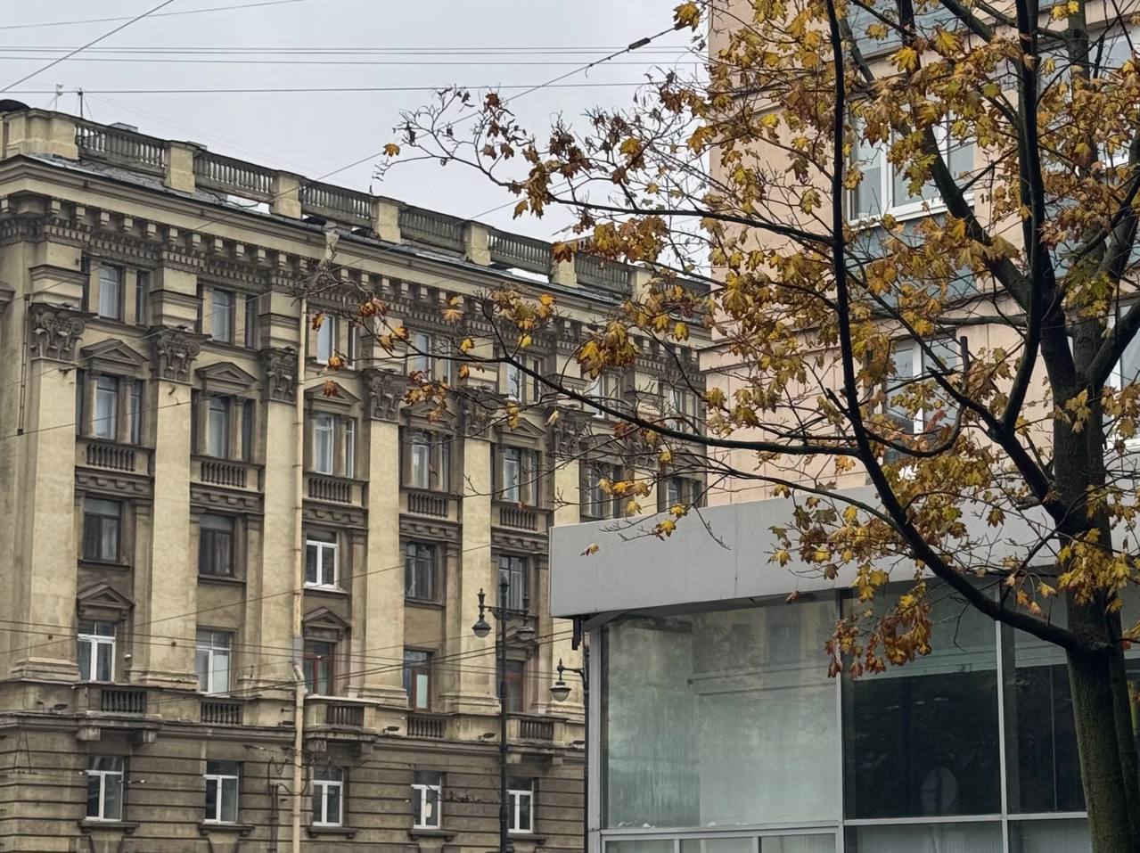 Антициклон принесет в Петербург тепло: 30 сентября температура превысит норму