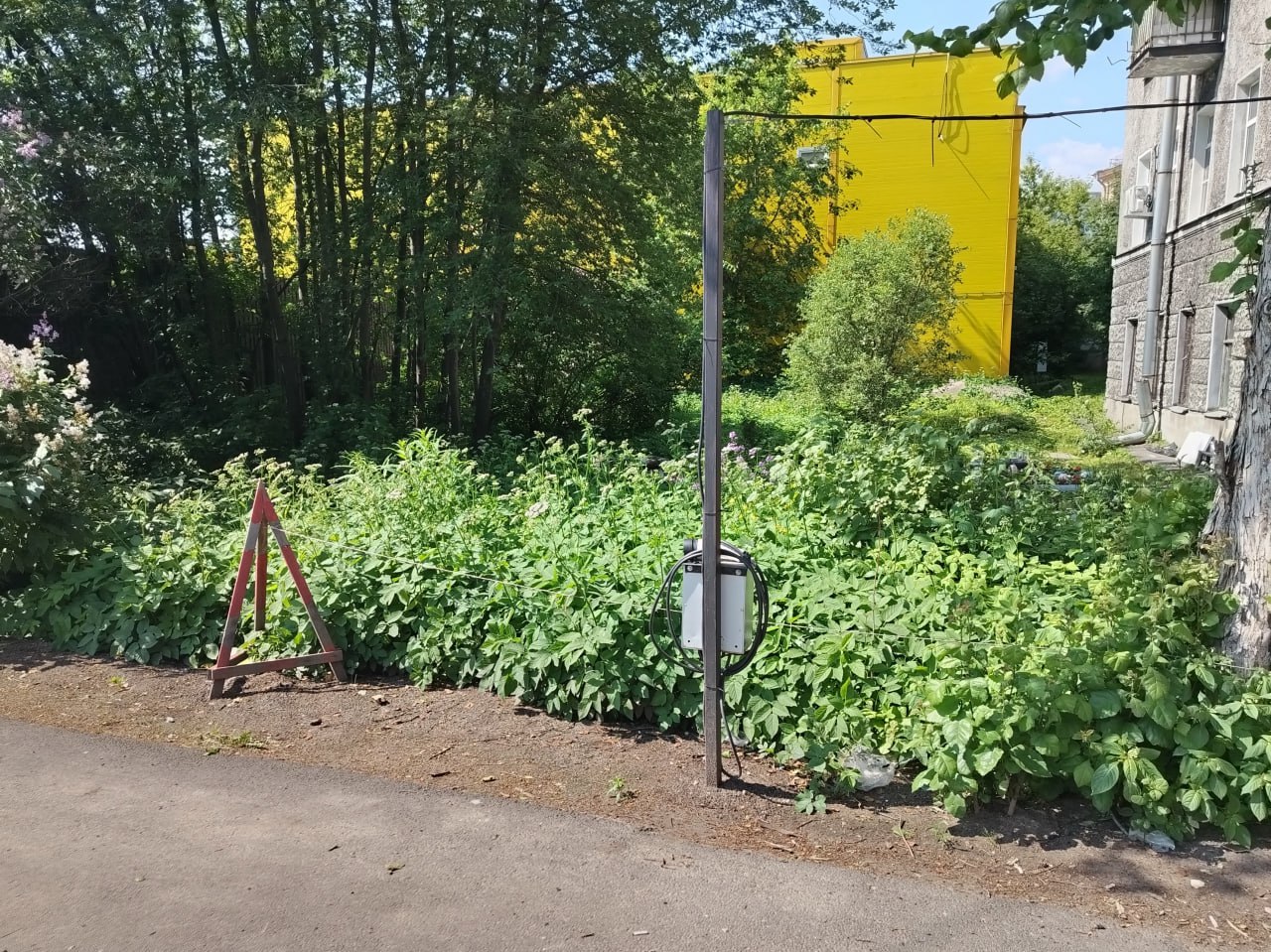 Фото