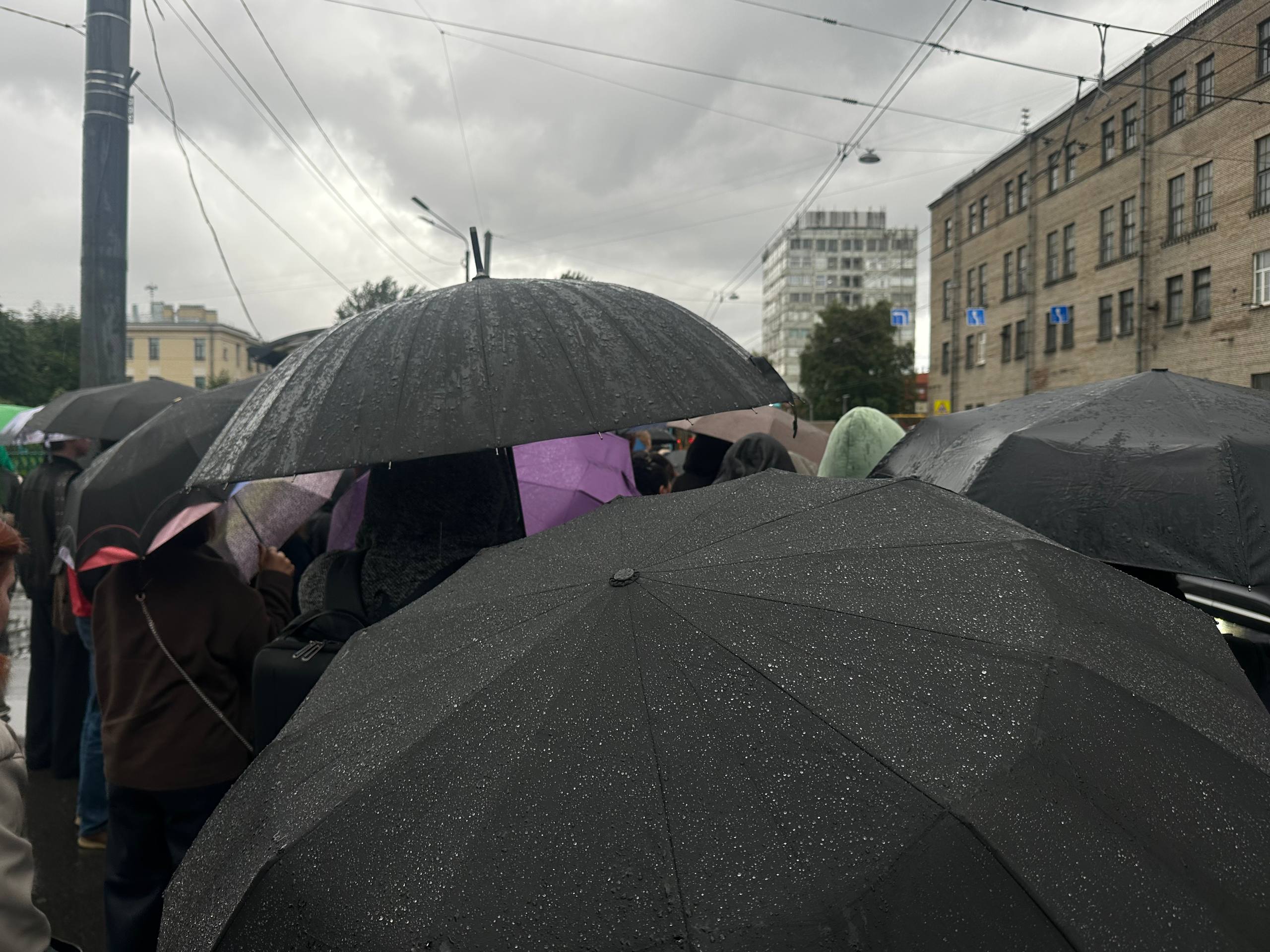 Зонт брать? Какая погода ждет петербуржцев в первый выходной — прогноз